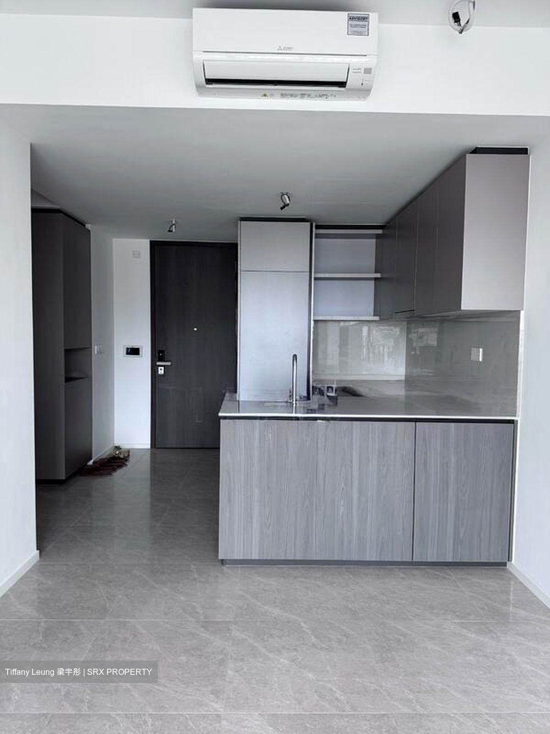 Piccadilly Grand (D8), Apartment #512378081